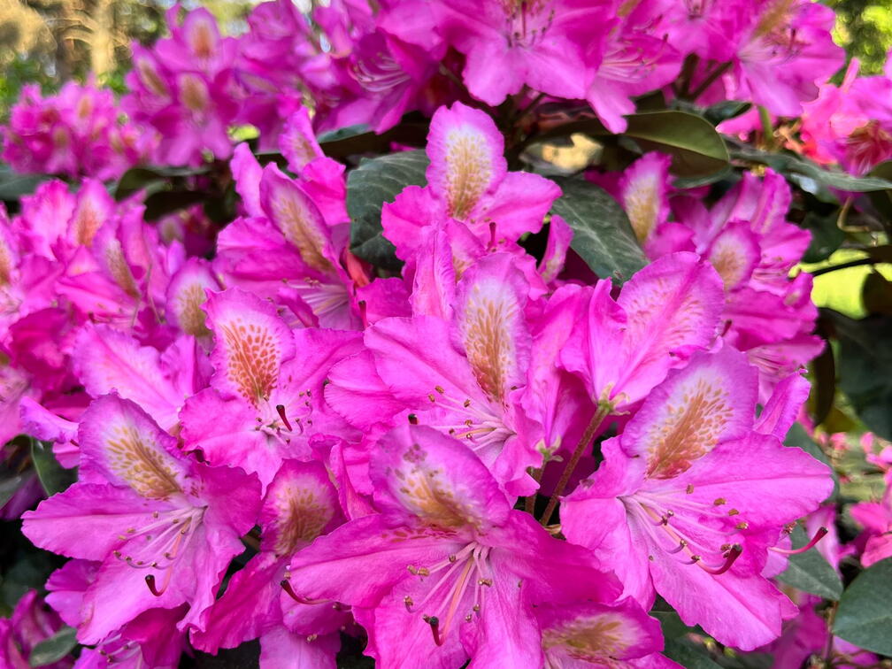 23-06-03 17-33-41 5828